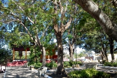 DSC01401