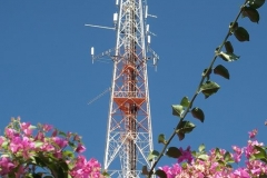 DSCF0538