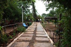 DSCF1430