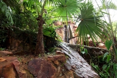 DSCF1440