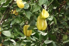 DSCF4057