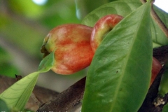 DSCF4150
