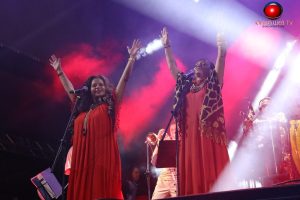 IMG 6391-Copy