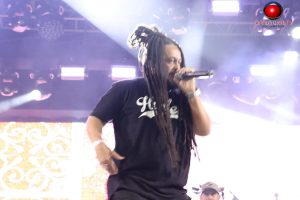 IMG 3687-Copy