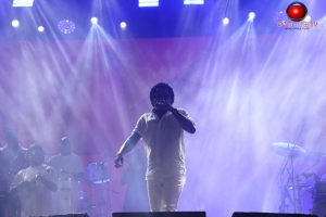 IMG 3971-Copy